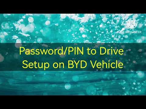 Password/PIN to Drive Setup on BYD Vehicle