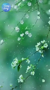 4.9K views · 64 reactions | 5 Simple Rules for A Happy Life | Happy Living | Facebook