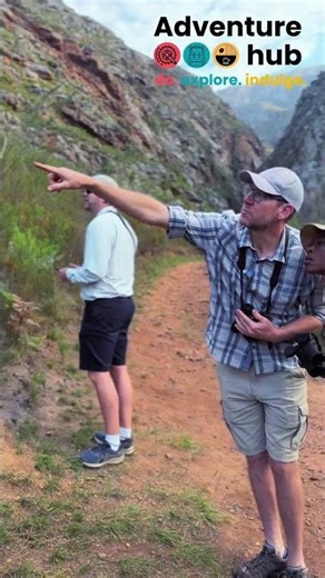 Hosted Bird Viewing Experiences