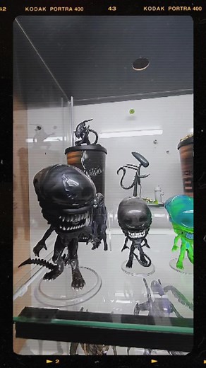 cesar ruiz on TikTok