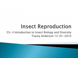 Insect Reproduction - SlideServe