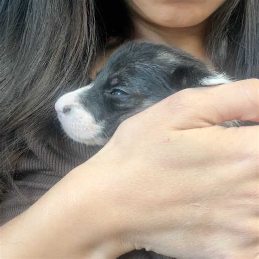 Rachel Fusaro on Reels