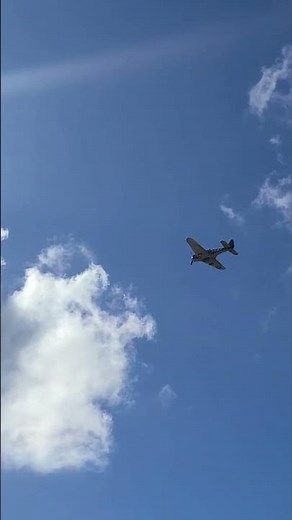 SBD Dauntless on Takeoff