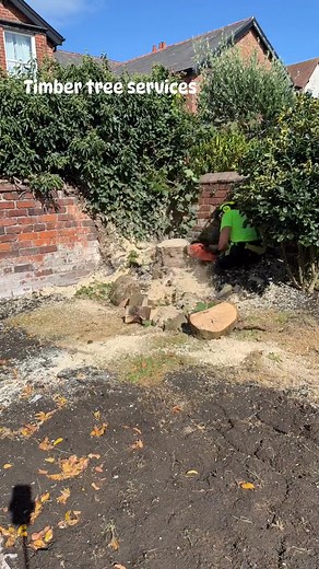 🪵🌳 Got an old tree stump in the way? Let us remove it safely and efficiently! 🌳🪵Stumps can be:❌ Trip hazards❌ Eyesores in the garden❌ Obstacles for landscaping❌ A harbour for decay and fungiAt Timber Tree Services, we offer professional stump grinding services to completely remove unwanted stumps and leave your outdoor space clean, level and ready to enjoy again!✅ Fast & efficient removal✅ Domestic & commercial work✅ Professional equipment✅ Fully insured & qualified✅ Affordable & reliable✅ C