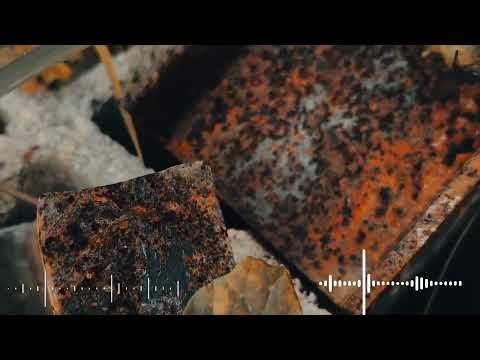 Turtle Shells Grow Longer Than Nails (Ariana Grande + Enya) REMIX