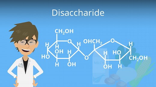 Disaccharide Vorkommen