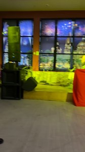 Radio Joya tv on Reels | Facebook