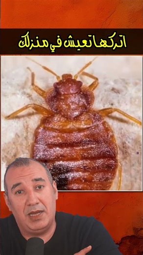 اتركها تعيش في منزلك