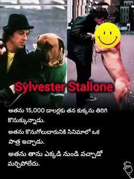 Sylvester Stallone: The Unstoppable Journey of a Hollywood Legend 🥊