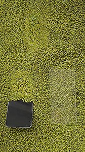 4.8M views · 10K reactions | Samsung screen technology display#Samsung mobile phone mobile #shorts | TECH support | Facebook