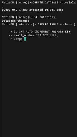 INT vs BIGINT in MySQL #mysql #mariadb #sql #databases #coding #programming