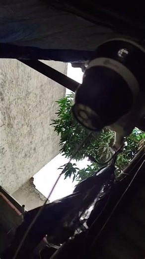 TRUEVIEW 3MP DUAL LENCE SOLOR CAMER Network installation and configuration tutorial