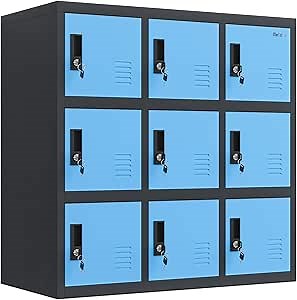 Lockable Storage Cabinet, Metal Cabinet Locker Bedroom Storage with Key Lock, Lockable Storage Steel Organizers Home Office Garage (W9D, Blue)