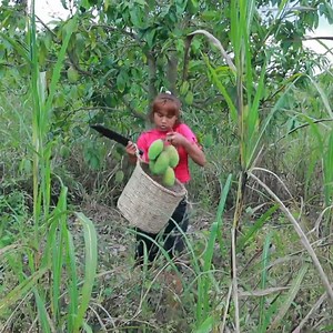 Woman found mango with soft turtle for eat Eating delicious | Living And Cooking