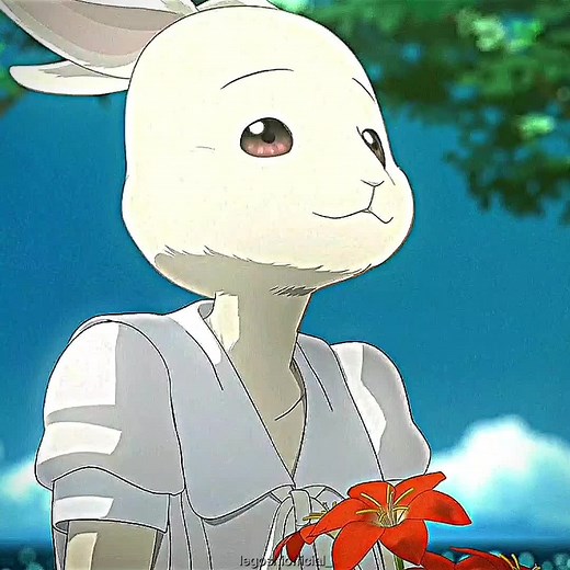 Haru Beastars Edit - Haru Beastars Icon Edit