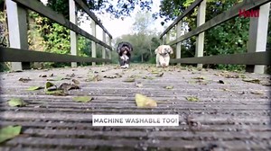 HALTI Walking Harness - Lightweight Dog Harness with Handle, Reflective & Adjustable, Ideal for Puppy Walks, Suitable for Small Dogs and Puppies (Size XS, Black)