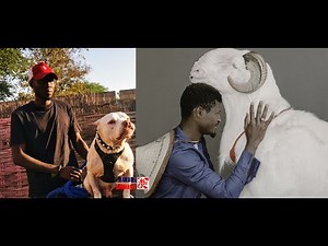 Comment éduquer son chien, afin qu'il ne tue plus vos moutons