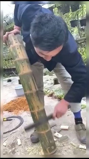 DIY Bamboo Planter: A Step-by-Step Guide to Creative Gardening#DIYgardening