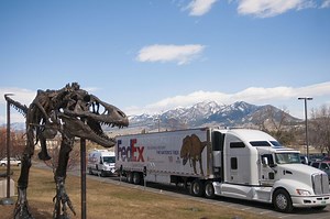 Five Things We Don’t Know About Tyrannosaurus Rex