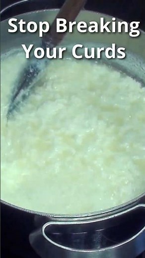 Stop BREAKING Your Cheese Making Curds