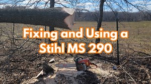 28K views · 353 reactions | After we fix the idling issue on this Stihl MS 290, I will sharpen it. Then I take you through the steps of cutting a pin oak. Then I decide since we are here we might as well cut this other tree. | Boys In The Woods | Facebook