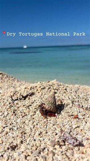 Explore Dry Tortugas National Park: A Hidden Gem
