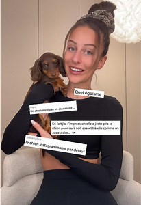 Réponse à toutes vos questions sur Bulle