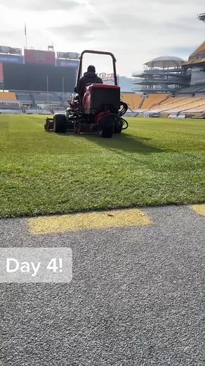 Minus the topdressing with sand! #turfscience #steelers #resod #TheWildsChallenge