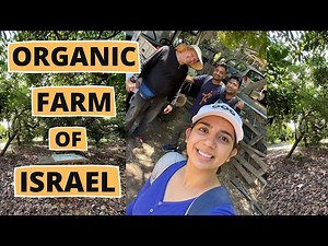 My First farm visit in ISRAEL - Part-1