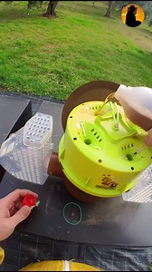 668K views · 5.1K reactions | TRAPPOLA per regine di calabrone #curiosità #apicultura #calabrone #api #come #regina #insetti #animali | Daniele Ulissee | Facebook