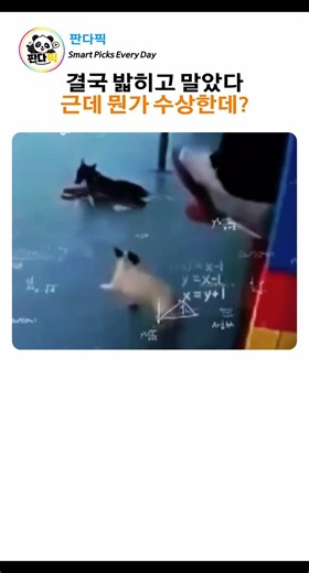 결국 결국 밝히고 말았다. 근데 뭔가 수상한데?