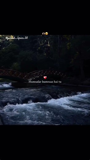 humsafar humraaz tu lyrics ✨ edit tag that yours love 💞 someone special 💖#lyricalvideo #hindisong