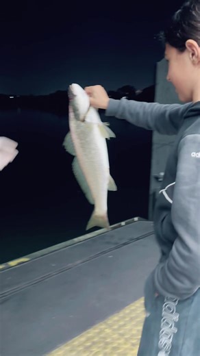 manxythewhitecat on TikTok