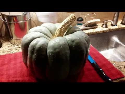 How to Prepare and Roast Jarrahdale Pumpkin