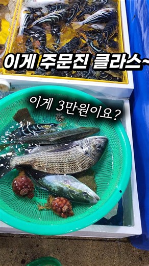 몽땅 3만원!? 주문진 수산시장(좌판풍물시장) 활어 맛집