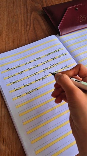 Kürk Mantolu Madonna kitabından alıntı 📖 #ScriptaAtramentum #calligraphy #lettering #reklamdeği̇l