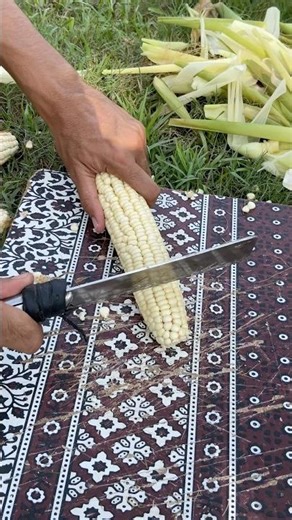 Chopping corn with cleaver by the riverside #cornharvest #farming #satisfying #vegetables #natural