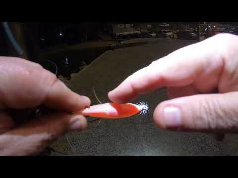 ψάρεμα 11 3 2026 EGING ωραία βραδιά λαδιά με τέτοιες συνθήκες αναμενόμενη πρόγνωση & αποτέλεσμα