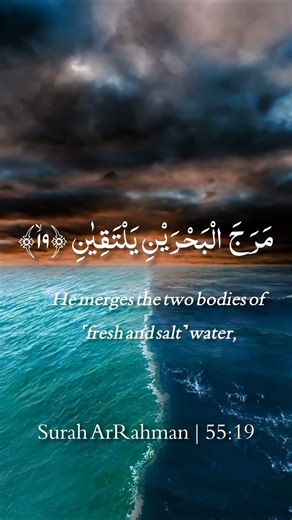 Two seas meet but never merge d you know why? #islamicshorts #quranrecitation #quran