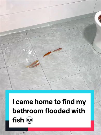 Bathroom Flooded with Fish