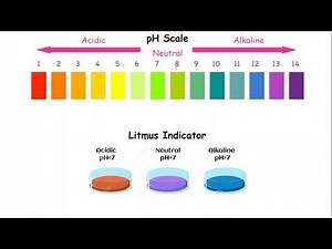 Reading exercise - Acids and bases | Teaching Resources
