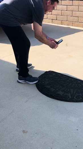 How to Handle Baby Rattlesnakes Safely