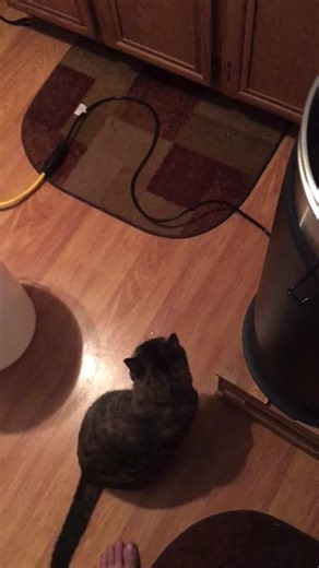 #homebrewing #grainfather