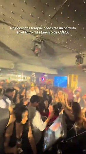 Perreito en SAVÚ CONDESA: El antro más famoso de CDMX