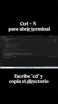 Cómo organizar archivos automáticamente con Python (ANTES y DESPUÉS)