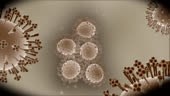 High Definition animation of the Swine Flu virus as if seen through a...