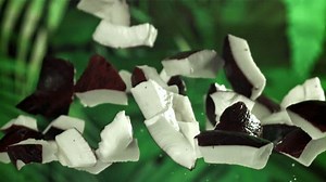 Pieces Coconut Fly Fall Down Filmed Stock Footage Video (100% Royalty-free) 3784934373 | Shutterstock