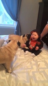 Cute baby & puppies. | I Love Pets