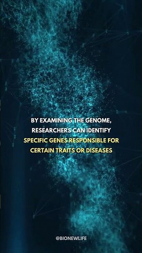 What is genomics? | #genetics #biology #genomics #dna #evolution