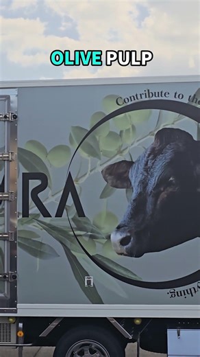 Day 15 of 30 The Rarest Wagyu in Japan Is Here Not Tokyo